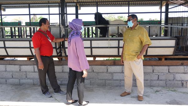  Monitoring dan Evaluasi dari Tim BPKP Provinsi Bali bersama DPMD Kota Denpasar