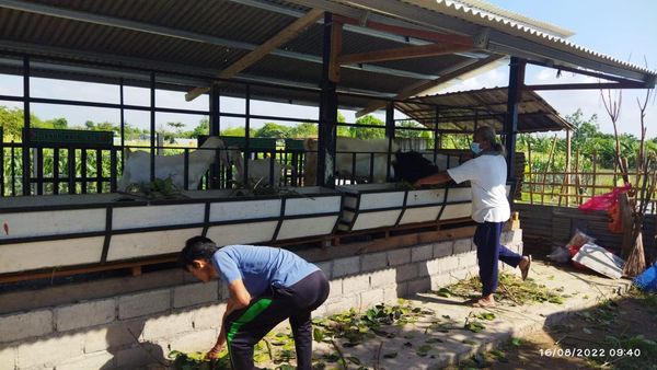 Kegiatan Padat Karya Tunai (PKT) Hewani dan Nabati 