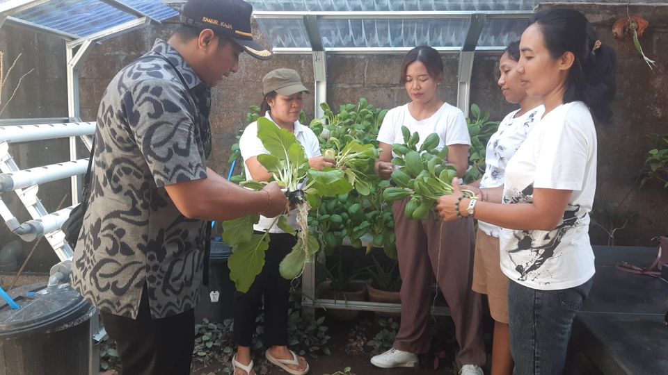 Pelaksanaan praktek lapangan budidaya hidroponik Br. Langon dan Br. Wirasana