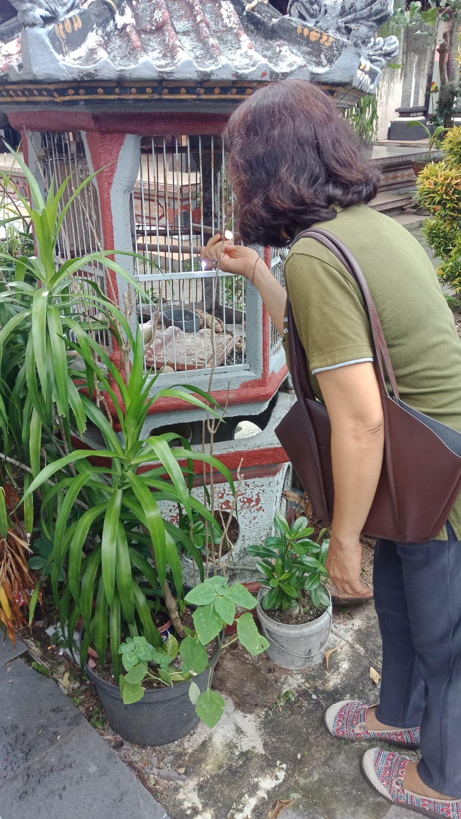 Kegiatan Penyelidikan Epidemiologi (PE) Kasus Demam Berdarah di Desa Sanur Kaja oleh Tim Jumantik Desa Sanur Kaja