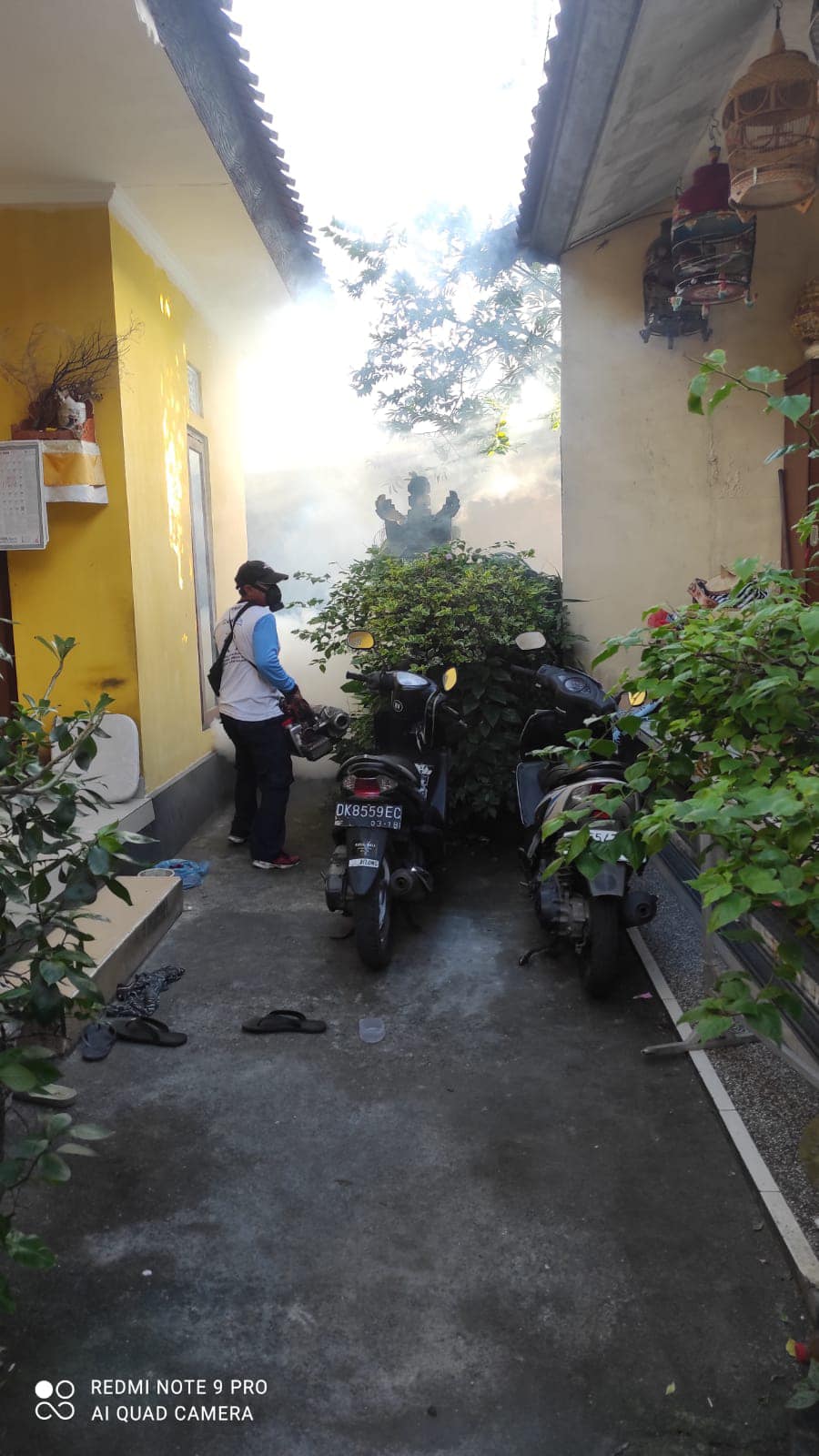 Giat Penyemprotan Fogging Focus di Dusun Belong & Dusun Langon Bersama Kepala Dusun, Jumantik, dan Tim dari Dinas Terkait