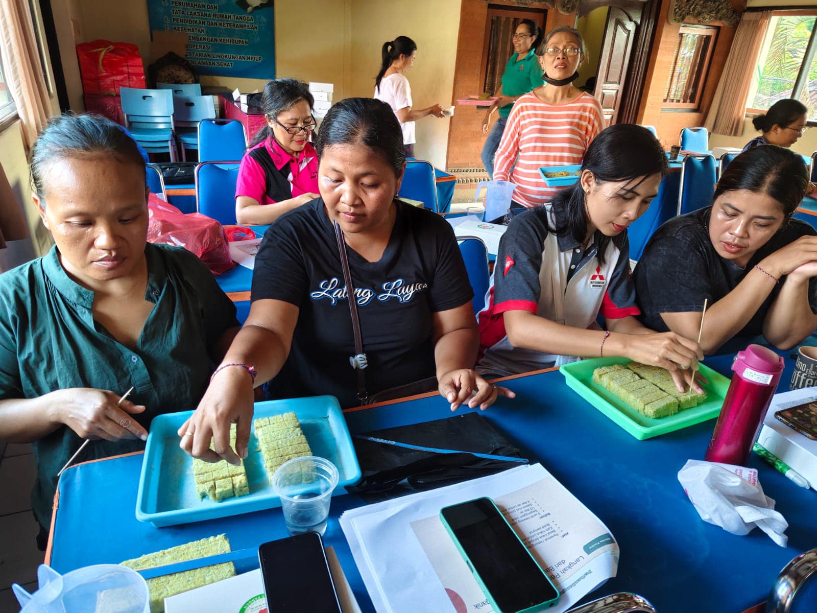 Praktek cara Pembibitan Sayur Hidroponik oleh Kelompok Wanita Tani di Desa Sanur Kaja