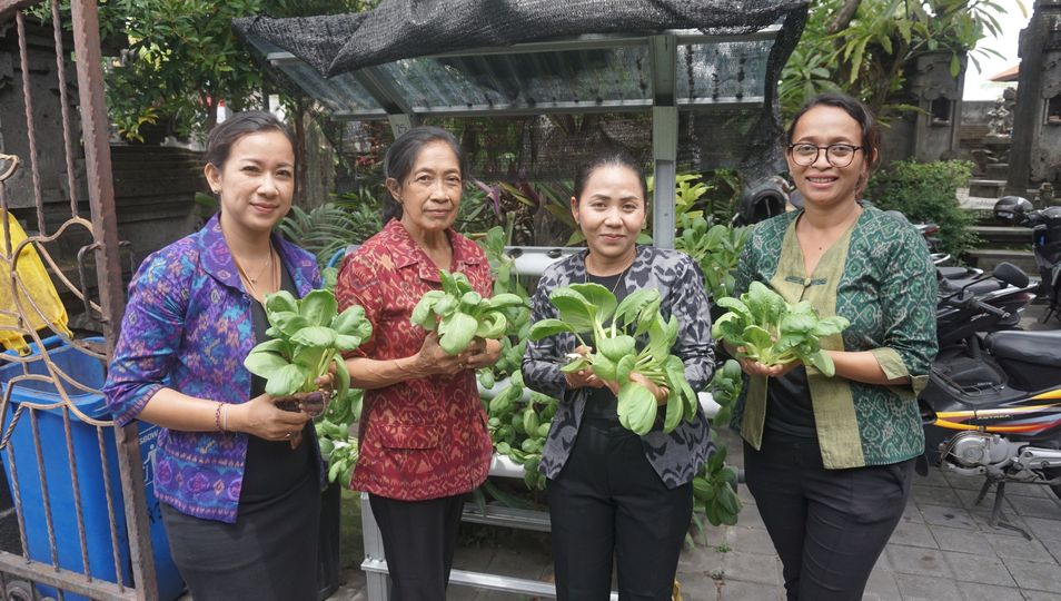  Panen Hidroponik Sayur Hijau bersama Ibu Ketua Penggerak TP.PKK Sanur Kaja