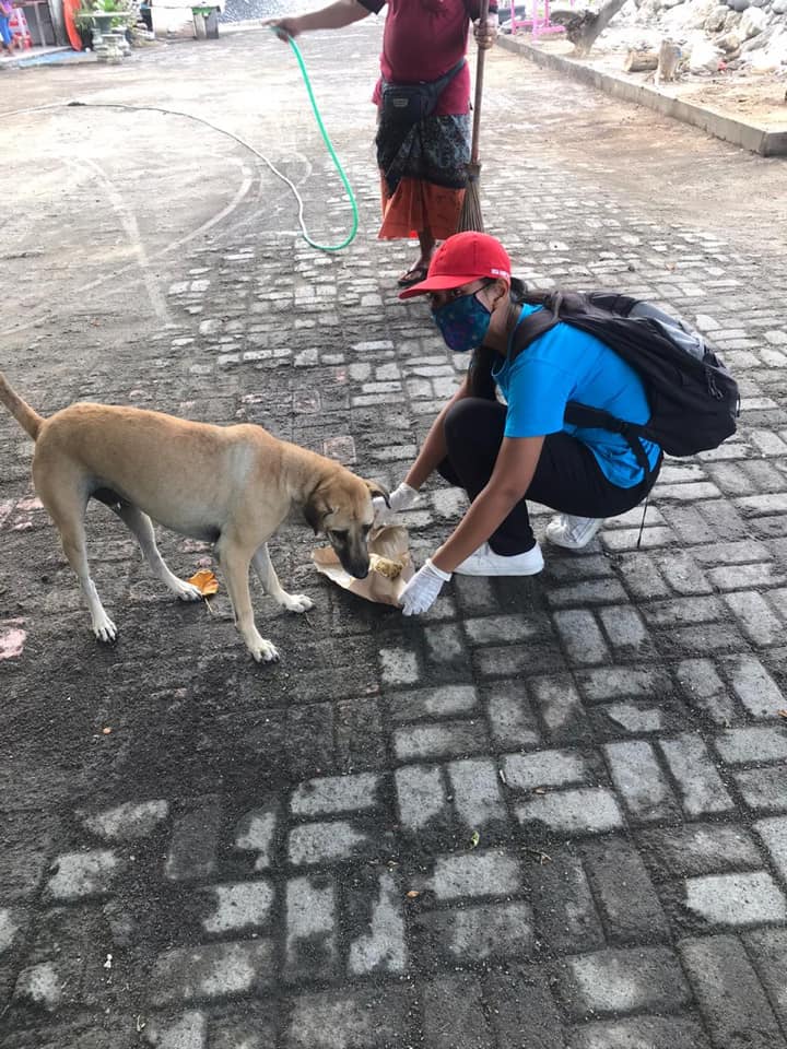 Karang Taruna Asta Dharma dan Program dharma Sanur Kaja bersama untuk Kesejahteraan Hewan di Sanur Kaja