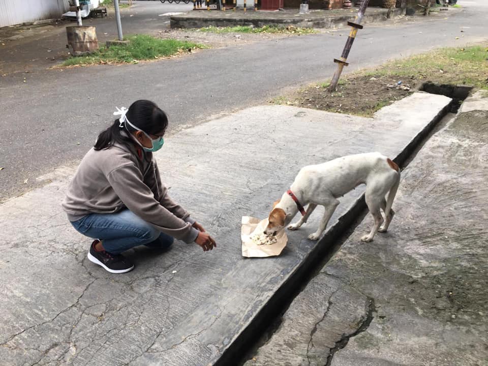 Karang Taruna Asta Dharma bersama Kader Program Dharma Desa Sanur Kaja melakukan Feeding di Pesisir Pantai Sanur Kaja