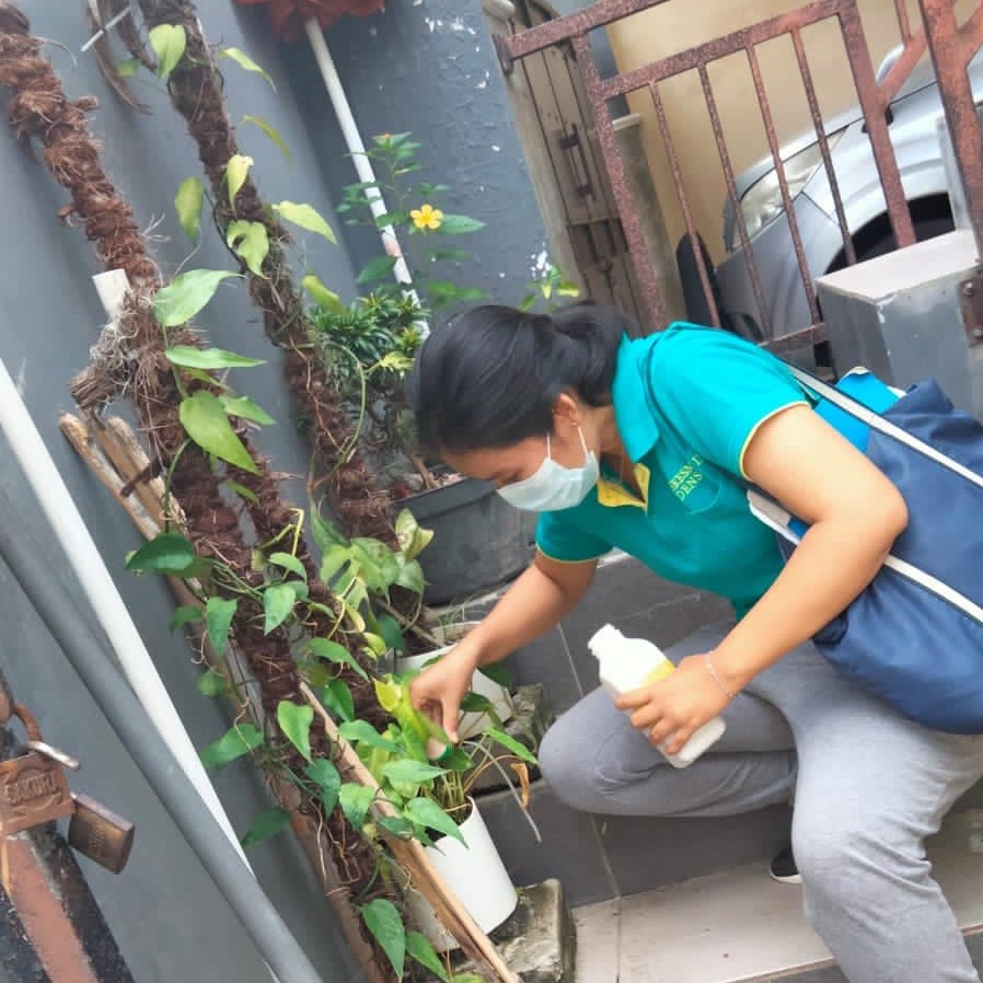 Antisipasi Demam Berdarah, Kader Jumantik Desa Sanur Kaja melakukan Giat PSN