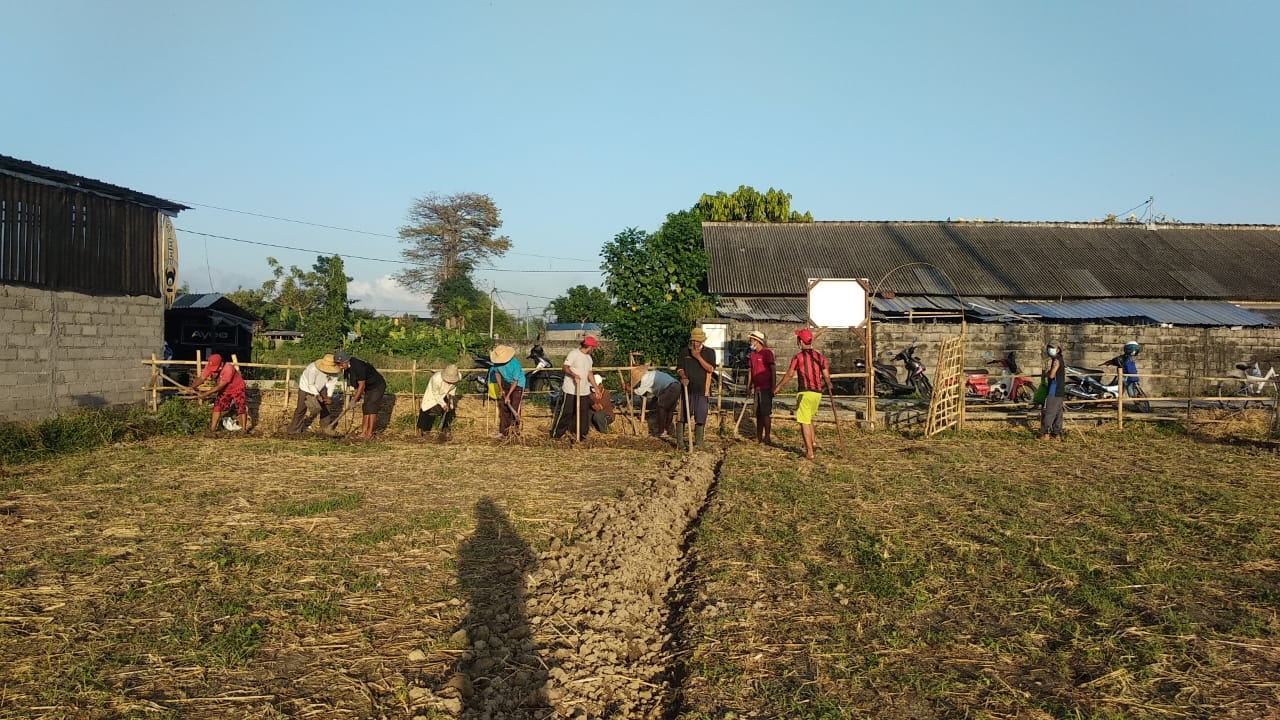 Padat Karya Tunai Kegiatan Pengolahan dan Penggemburan Lahan Ketahanan Pangan